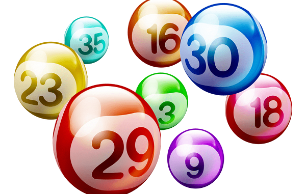 Bí quyết nuôi lô khung 5 ngày cho người mới