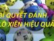 Lô xiên quay 4 khả năng về thấp, tỉ lệ ăn thưởng cực cao 