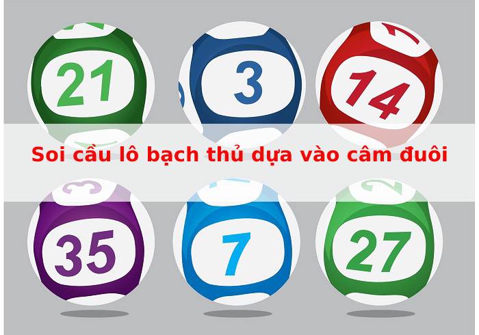 Soi cầu lô bạch thủ lô dựa vào câm đuôi Soi cầu lô bạch thủ lô dựa vào câm đuôi